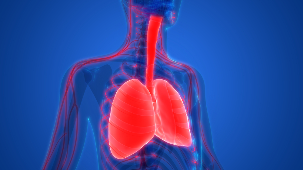 COPD Study Shows Ventilator-Oxygen Combination Can Reduce 